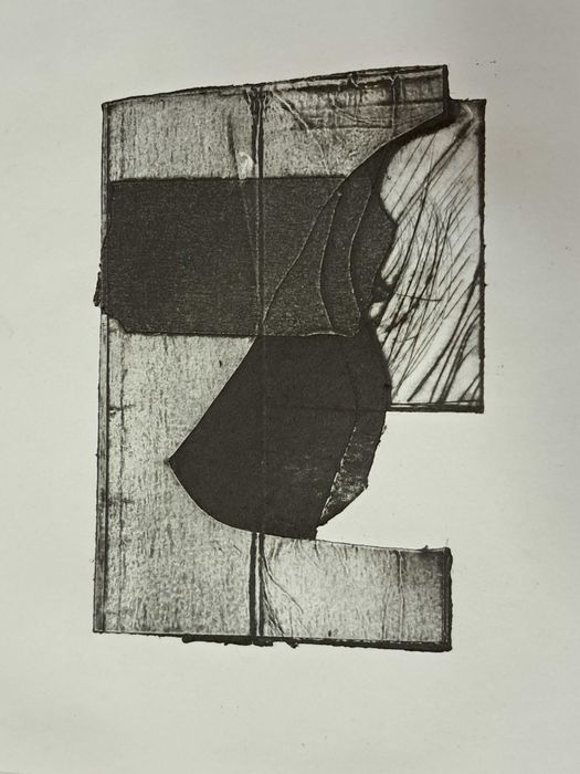 Gravura David Pereira