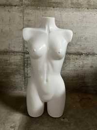 Busto manequim feminino