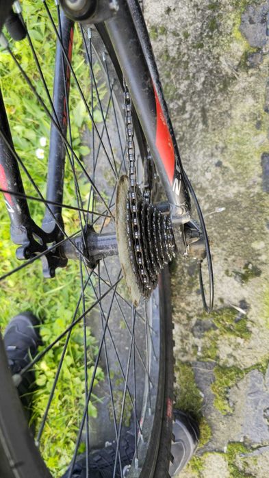 Rower Kross Level Junior 2.0 24 cale