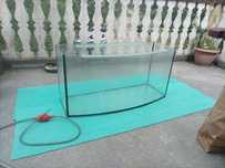 Akwarium terrarium wyszczerbione