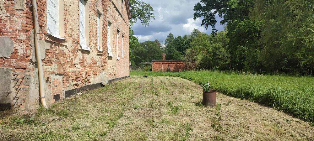 Wycinka drzew, czyszczenie nieużytków, zbieranie liści, koszenie trawy