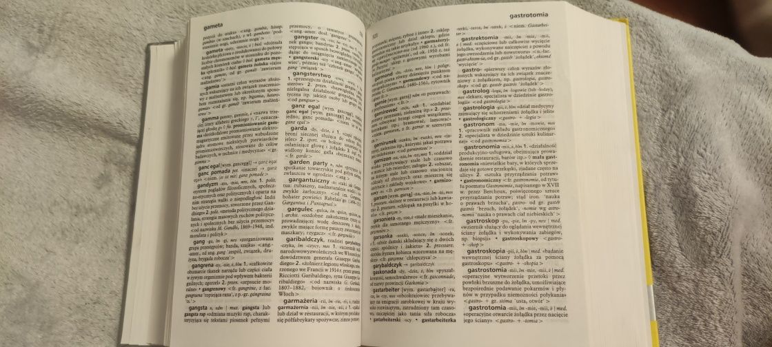 Słownik wyrazów obcych PWN