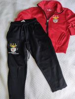 Fato de treino  de Benfica (L.S.B.)4-5anos