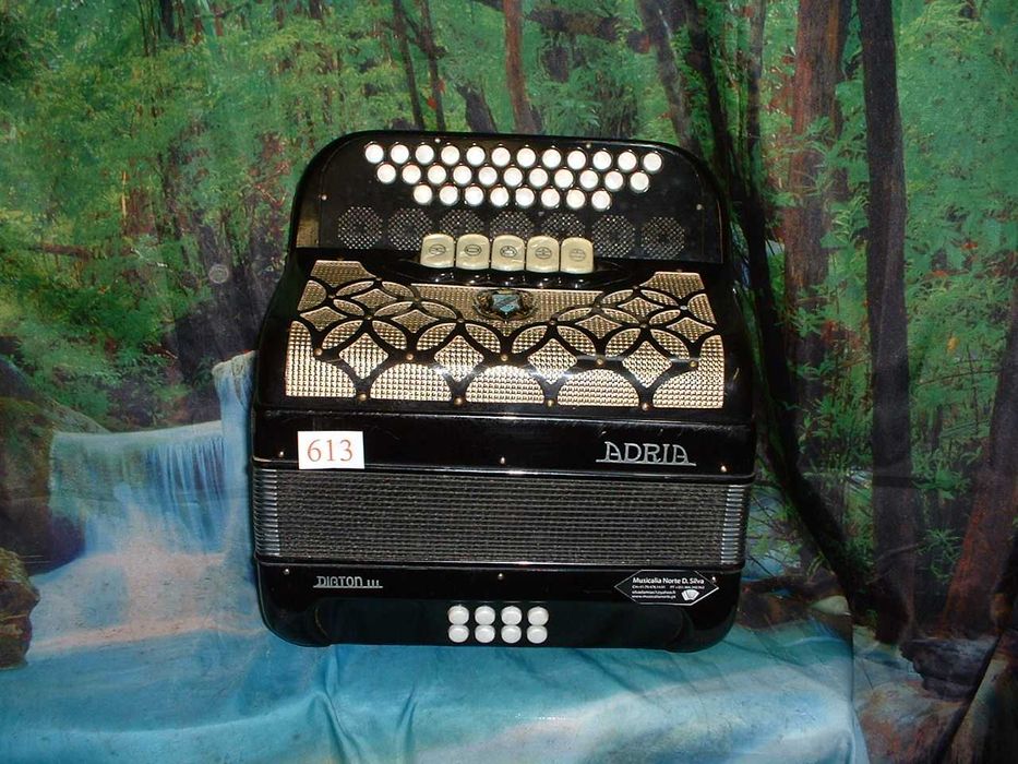 Concertina para venda n.613