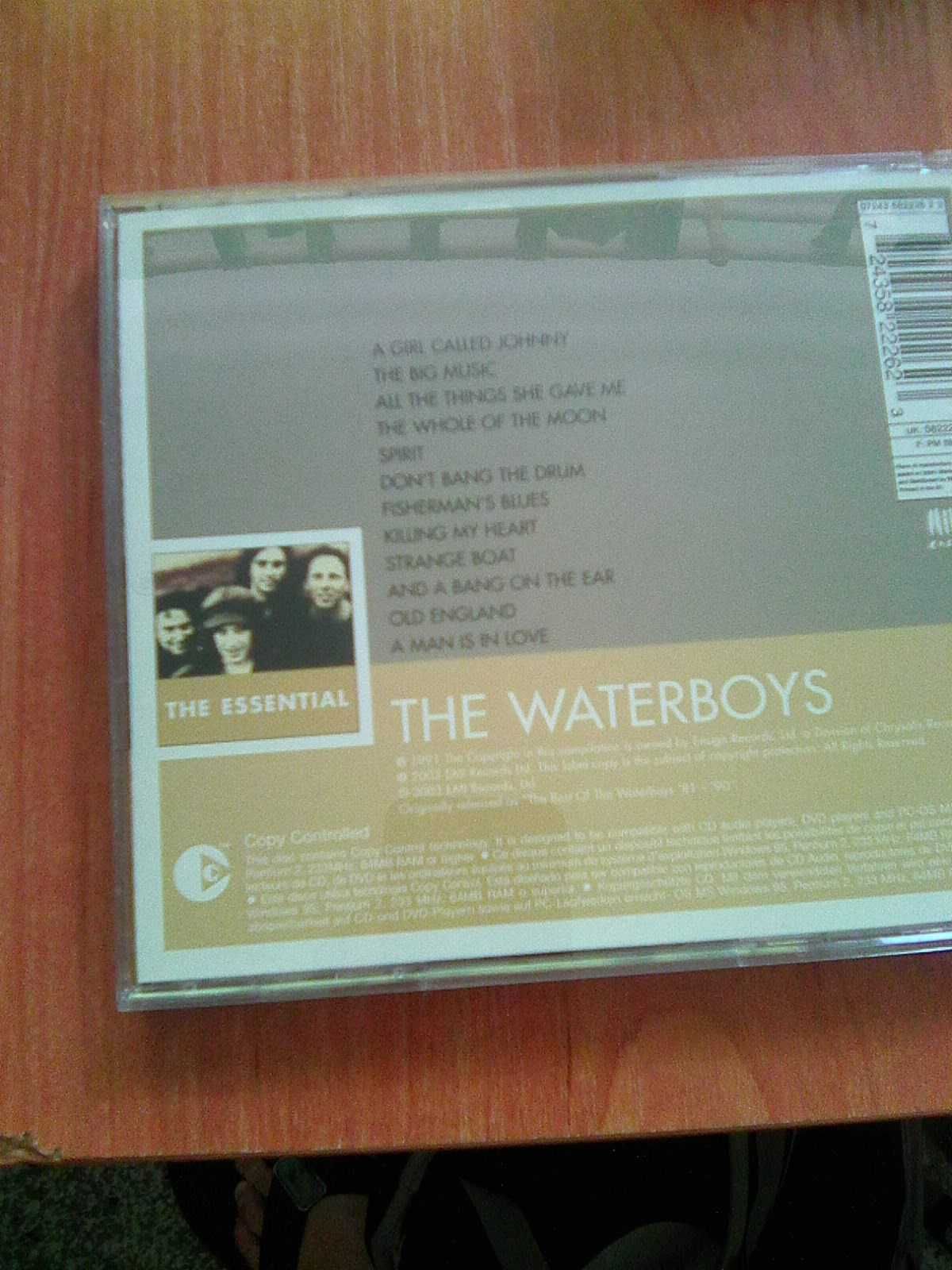 The Waterboys The Essential