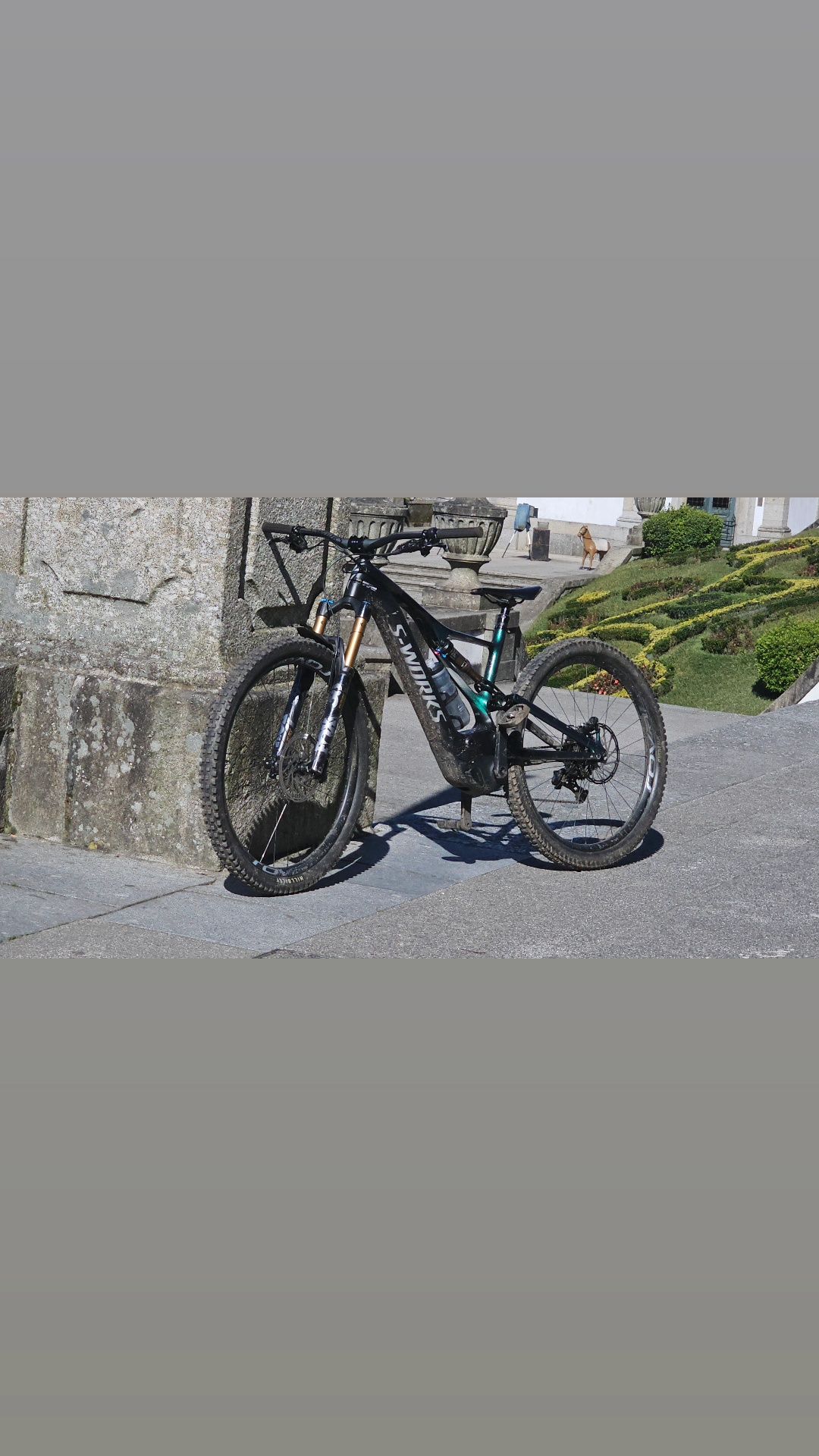 Specialized turbo levo s-works