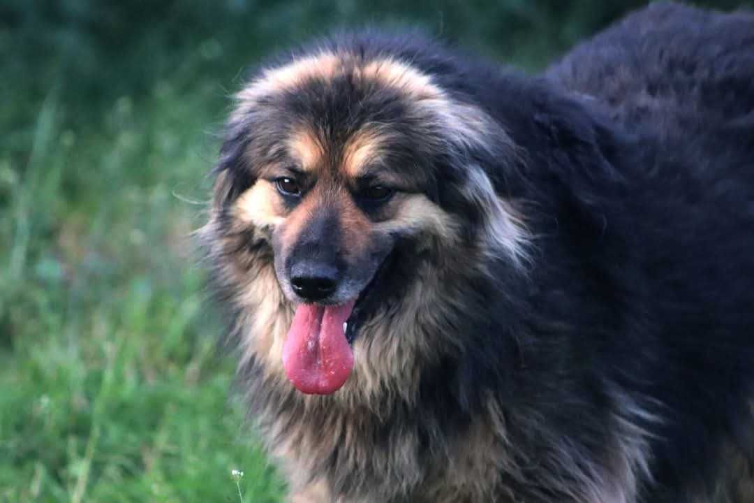 KOLINA czeka na Ciebie