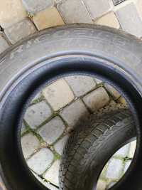 Opony zimowe 205/55 R16  Dębica Frigo HP2