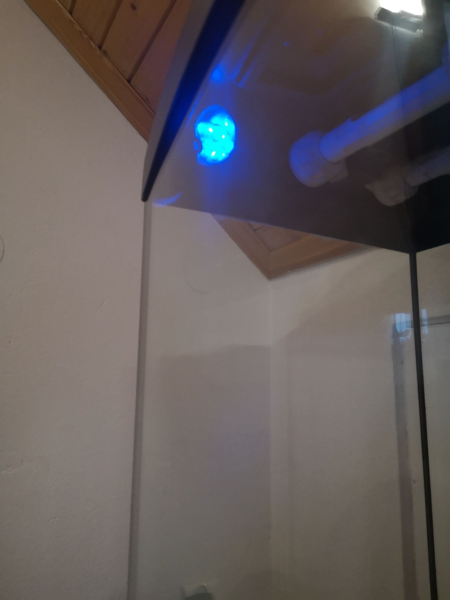 Akwarium 180l + szafka + filtr