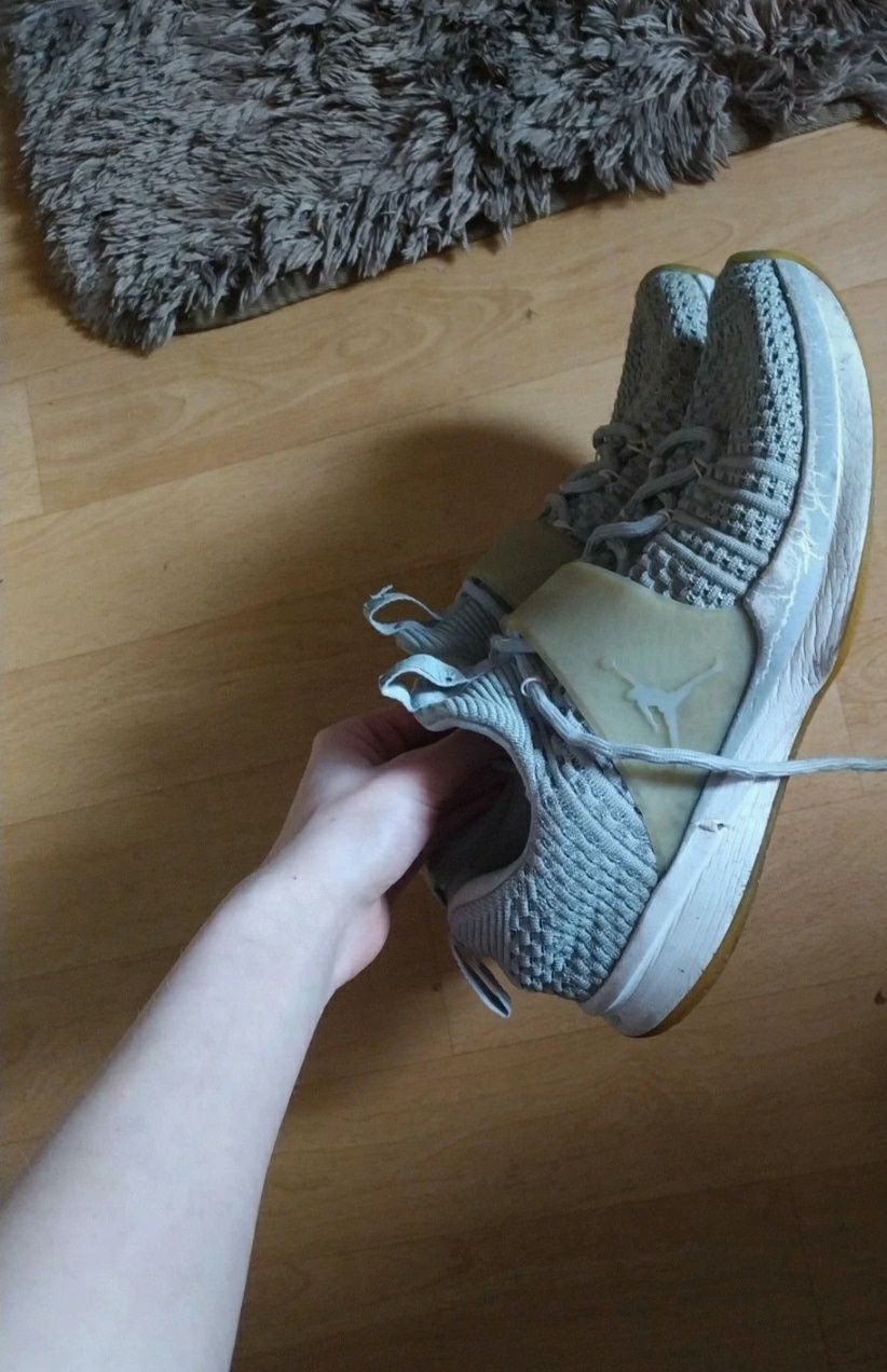 Buty Jordan trainer 2 flyknit