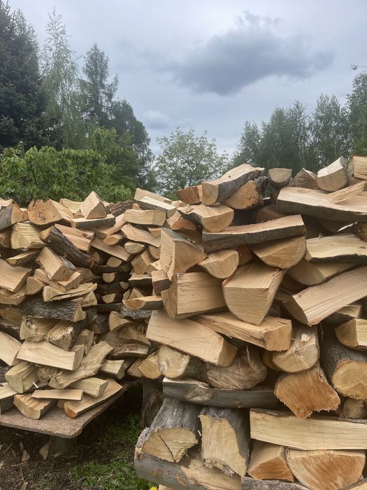 Kubik porąbanego drzewa