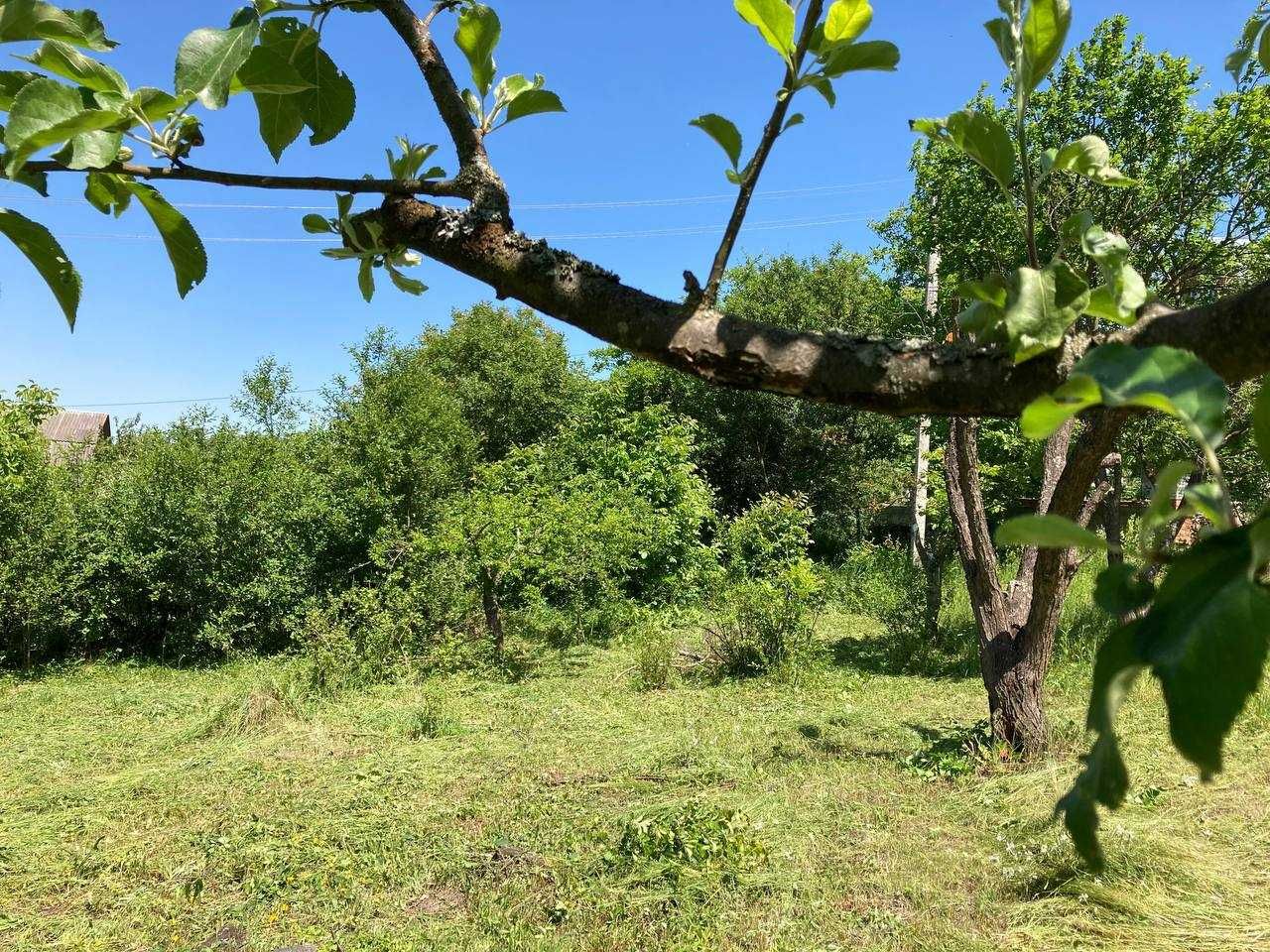 Земельна ділянка біля с. Мацьківці, Хмельницький район