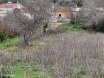 Terreno Misto