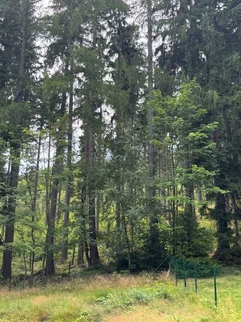 Działka budowlana w Kotlinie Kłodzkiej – dolnośląskie - bezpośrednio