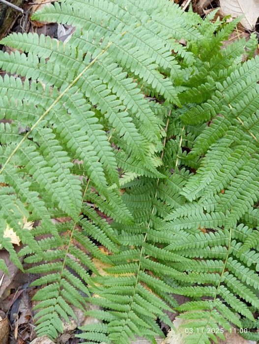 Купимо будинок не за всі гроші світу