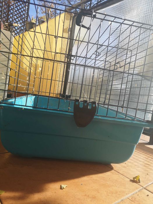 Klatka dla królika itp