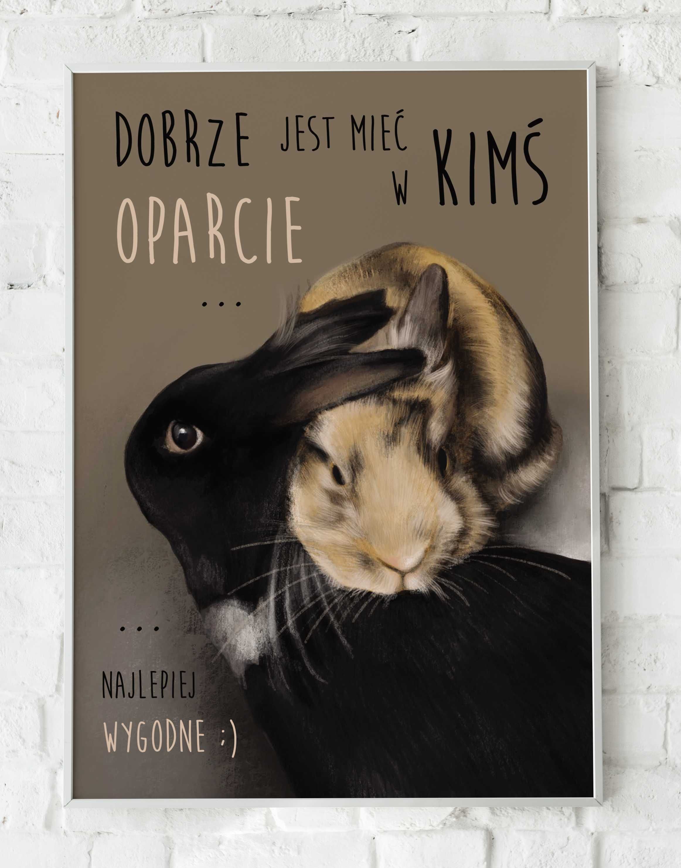 Plakat a4 królik króliki