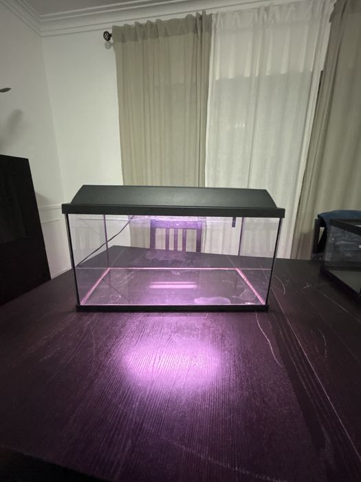 Aquario com filtro e termo estato
