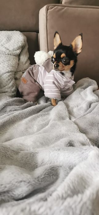 Karafka do wina na metalowy stojaku