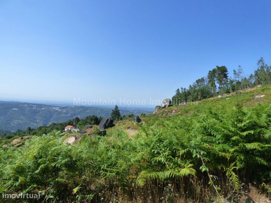 Quintinha  Venda em São Gião,Oliveira do Hospital