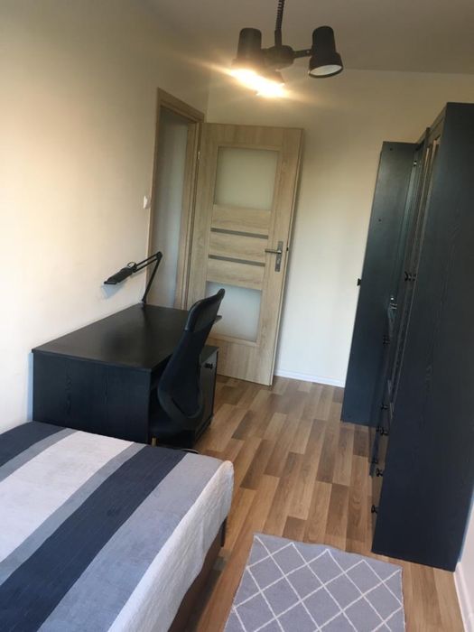 Pokój na wynajem przy UMK