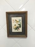 Quadro vintage
