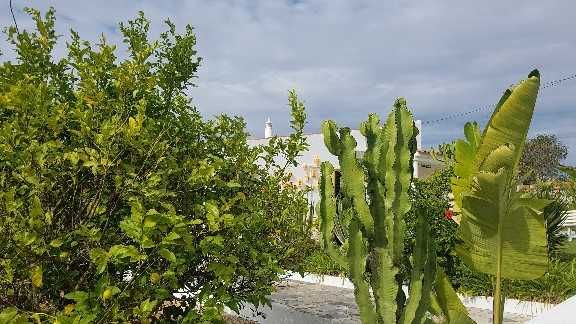 Apartamento em GUiA-Albufeira