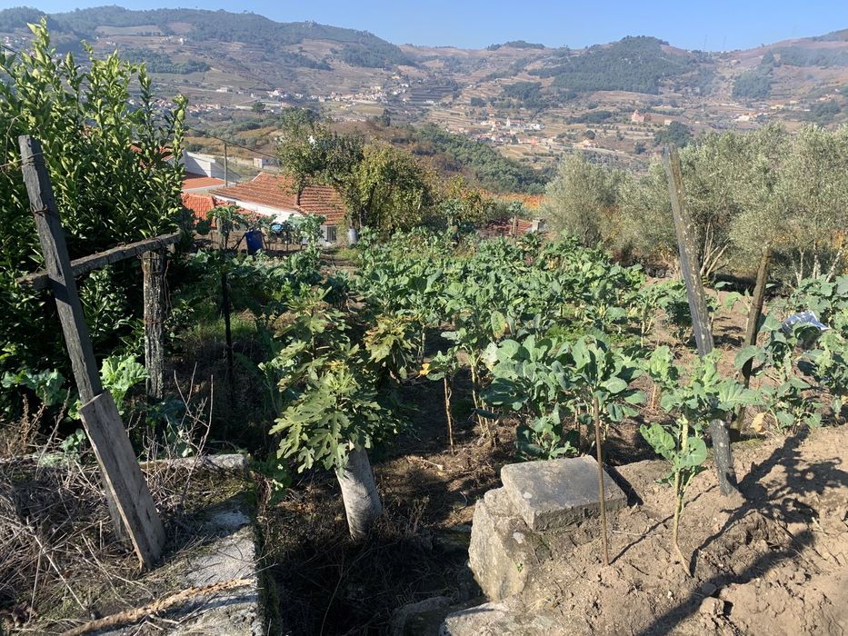 Terreno com habitacao