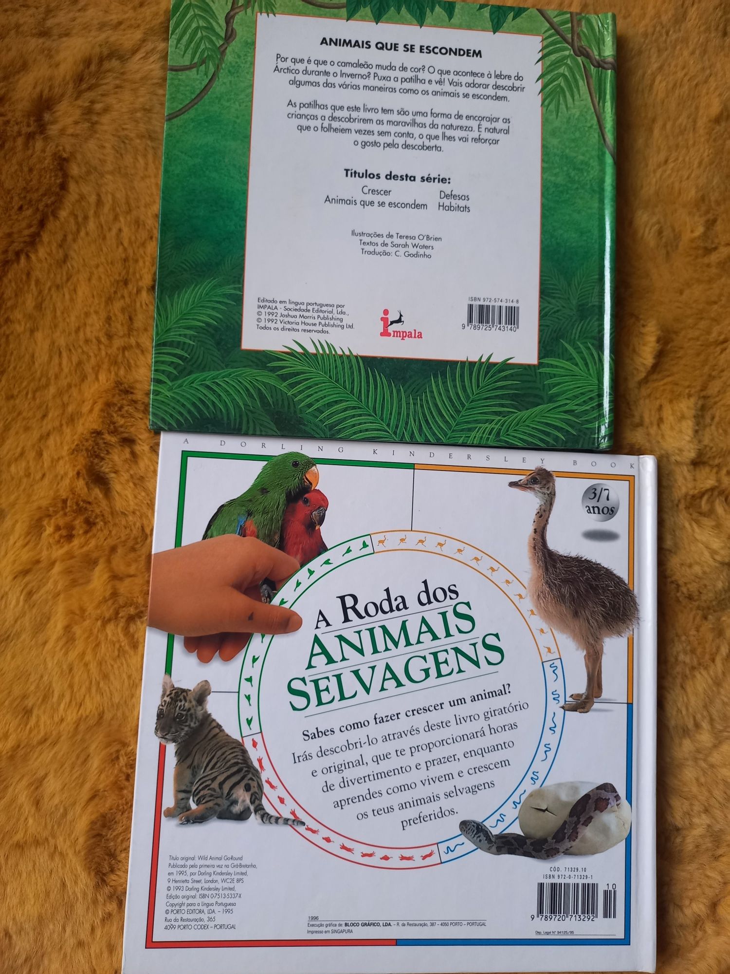 Conjunto de 2 livros para criança