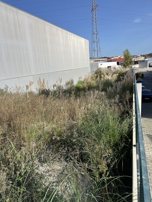 Vendo Terreno c/ PROJECTO APROVADO E LICENÇA DE CONSTRUÇÃO