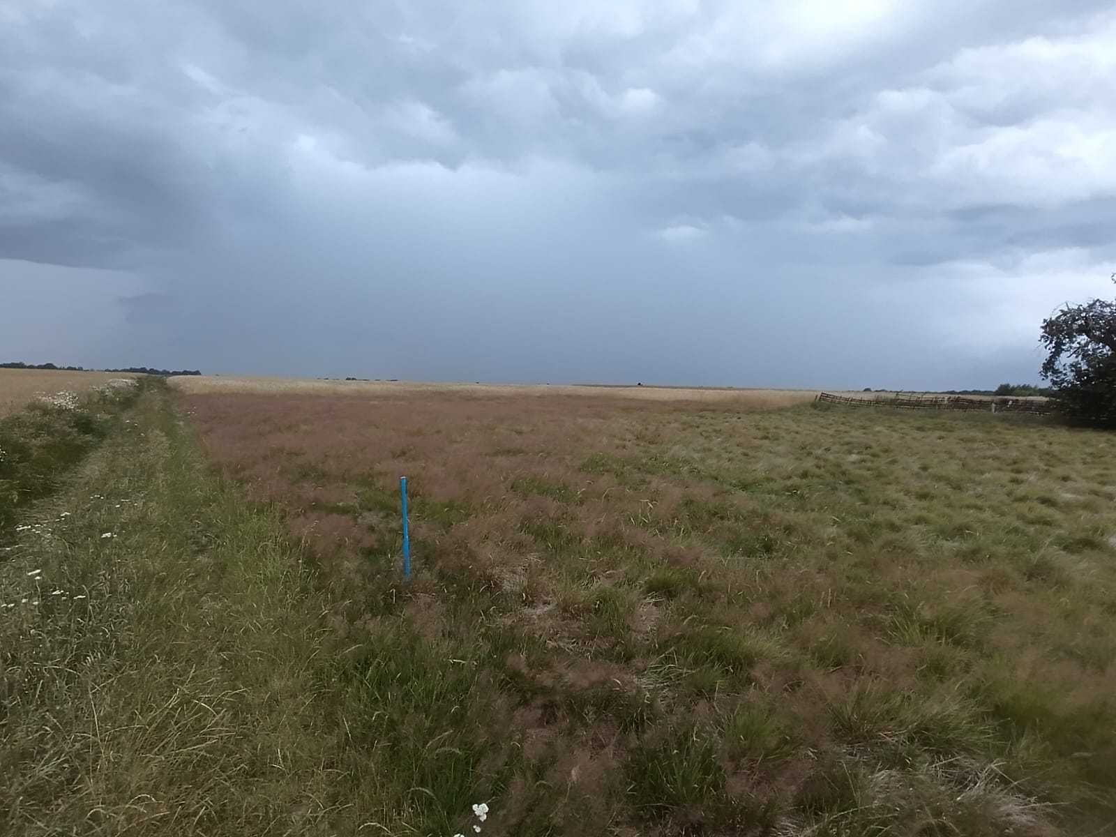 Działka Żarki Średnie 996m2