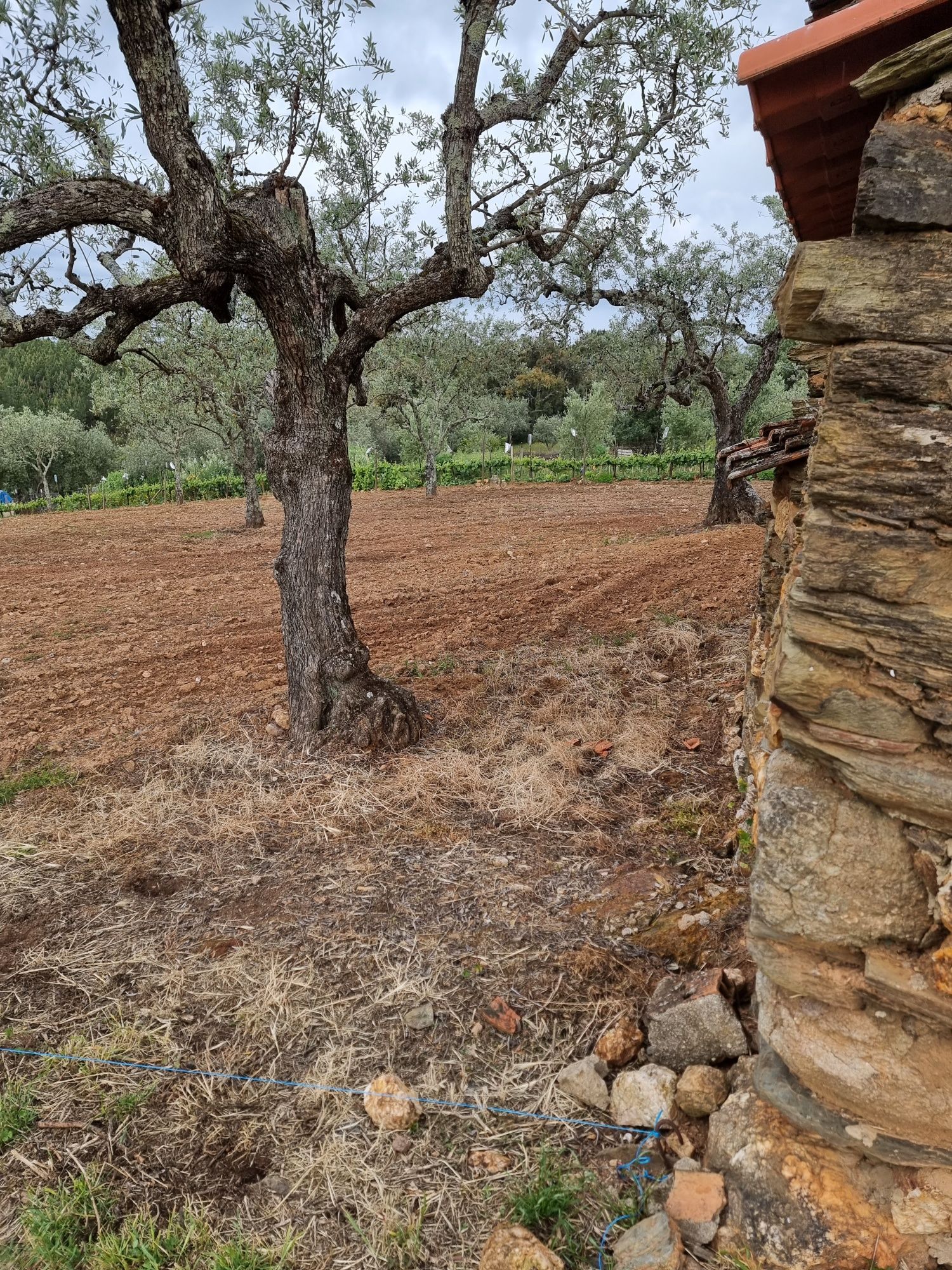 Venda de Moradia para Restaurar +Terreno 760m2 Castelo Branco