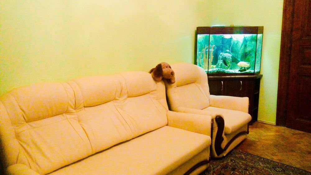 Оренда квартири на вул.Стрийська(початок),площа Івана Франка.