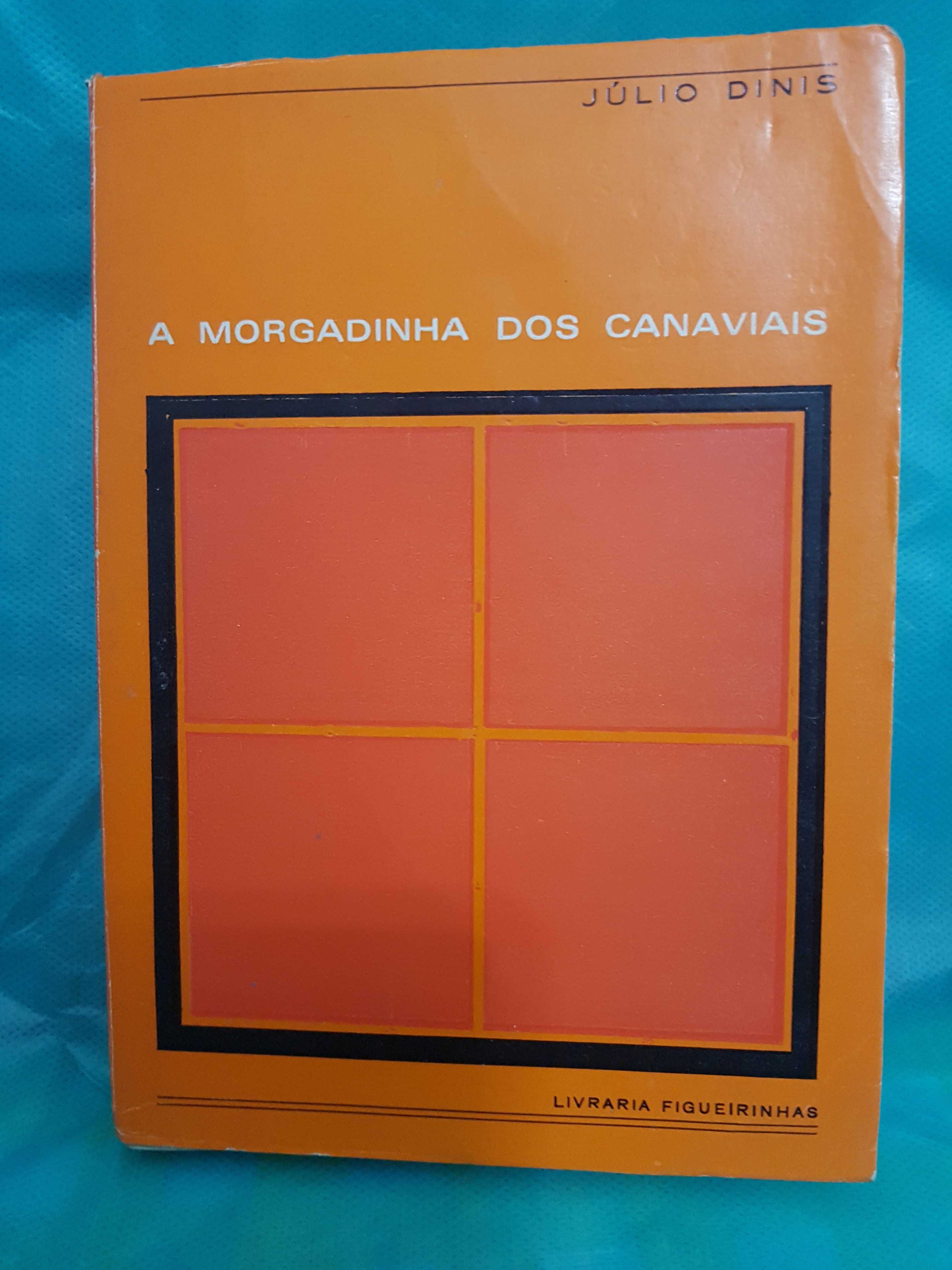 Livro A Morgadinha dos Canaviais