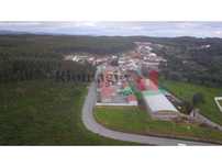 Terreno em Cidral - Rio Maior***RIOMAGIC***
