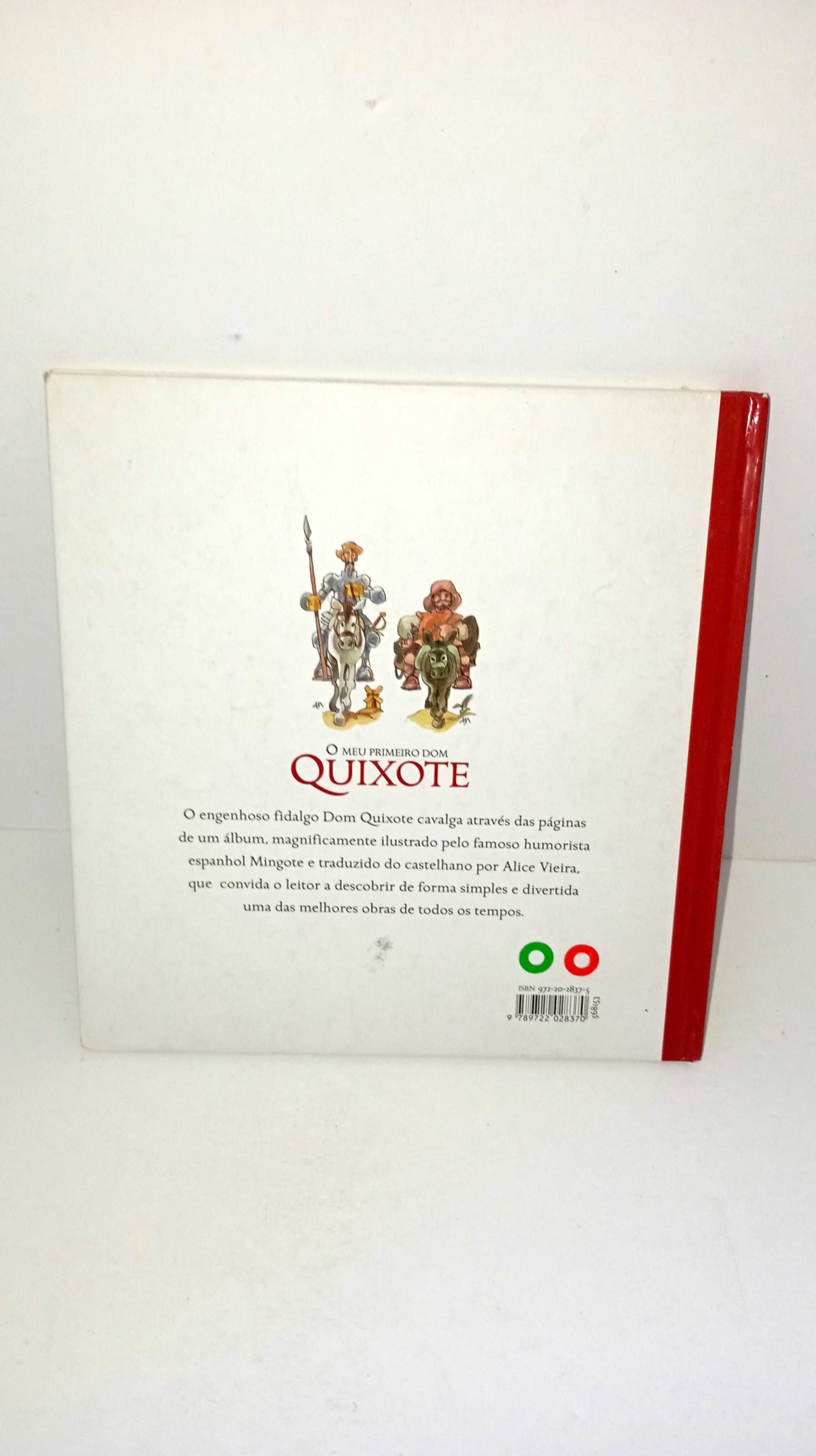 O Meu Primeiro Dom Quixote