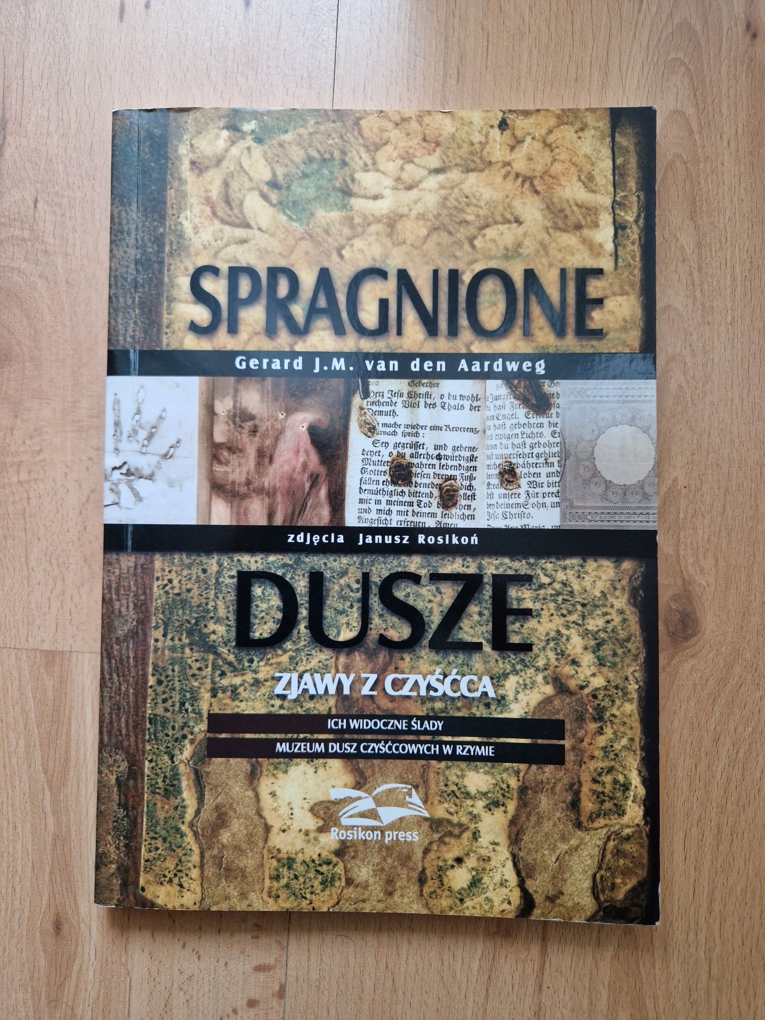 Spragnione dusze. Zjawy z czyśćca - dr Gerard J. M. van den Aardweg