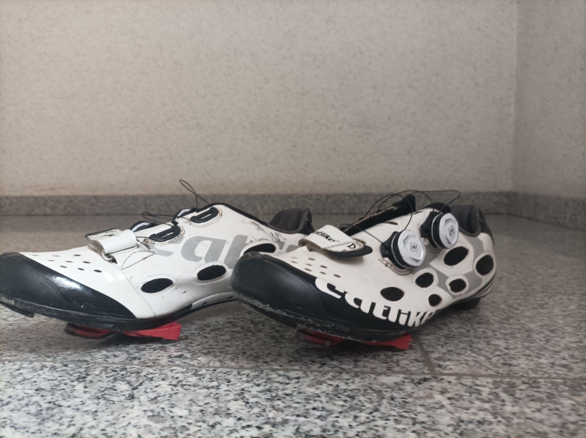 Giant Tcr Composite 1