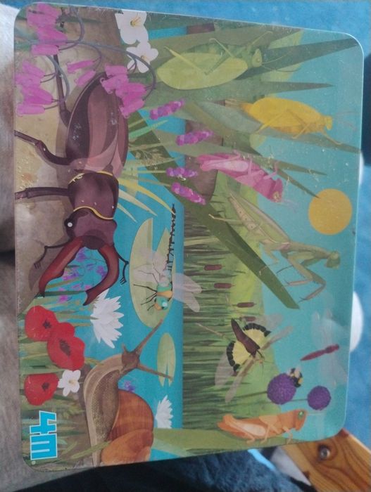 Magnetyczne puzzle insekty Montessori