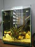 Akwarium 30L. . .