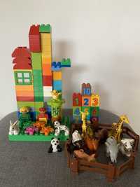 Zestaw LEGO Duplo: 12 zwierzątek, płytka konstrukcyjna i różne klocki