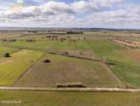 Terreno agrícola com 1,4125 ha a 15 minutos de Évora