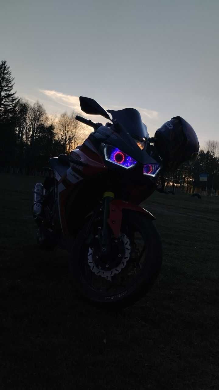 lonsin Yokomoto 250
