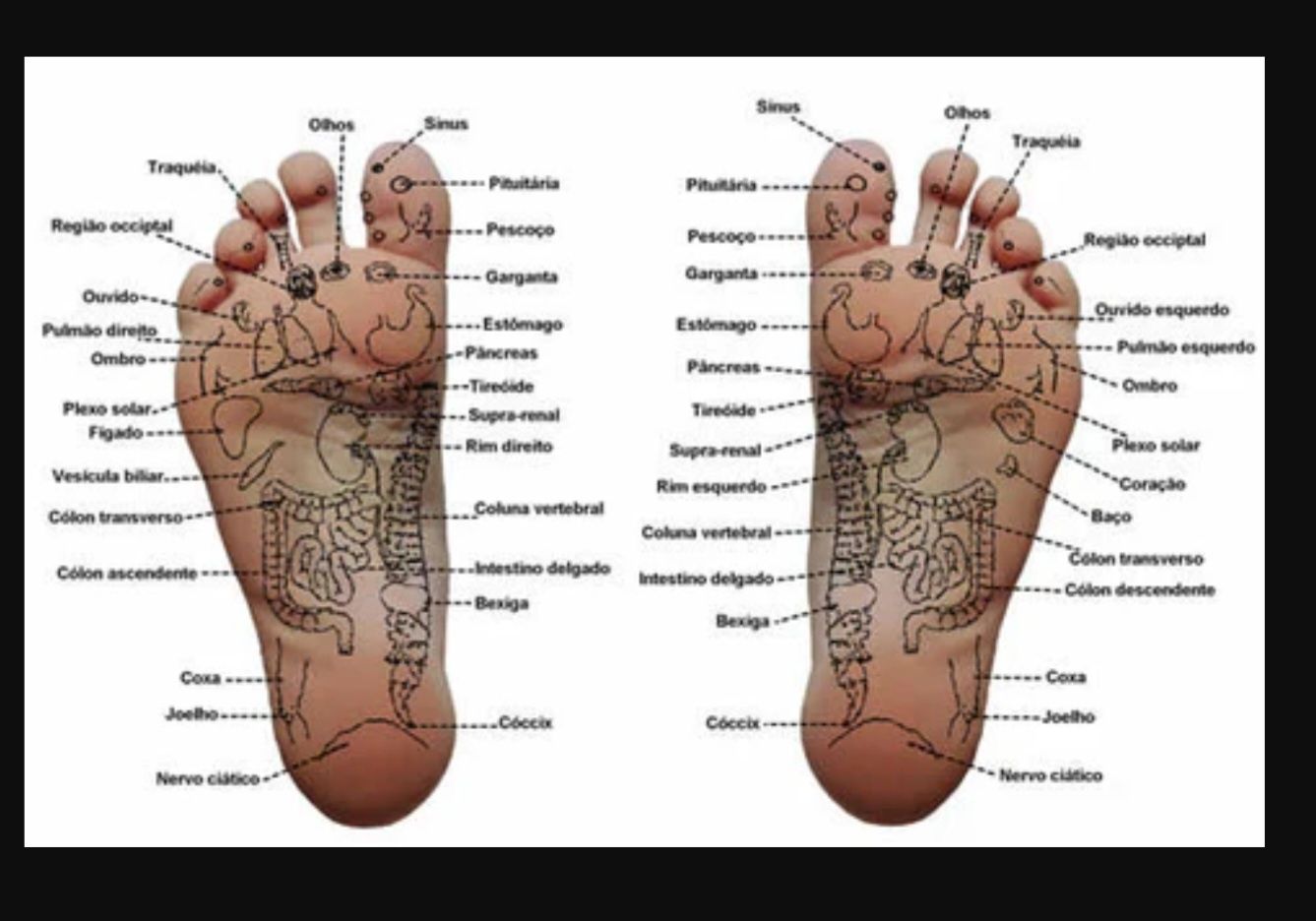 Reflexologia podal