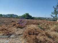 Terreno construção Quinta do Arieiro São João de Vêr