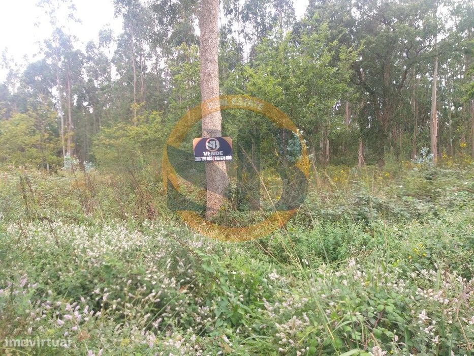 Terreno Industrial Palmaz