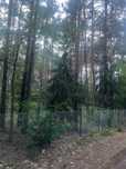 Działka rekreacyjna Tuchlin nad Bugiem, blisko W-wy, MPZP-dom do 110m2