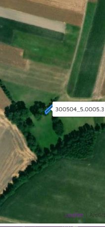 Łąka w Drzymałowie i Terespolu , łącznie 0,92 ha