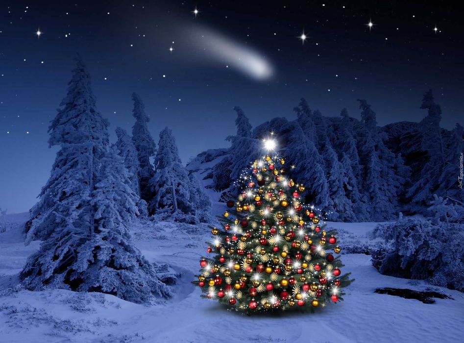 Czyszczenie i pranie dywanów na święta!!! Promocja!!!