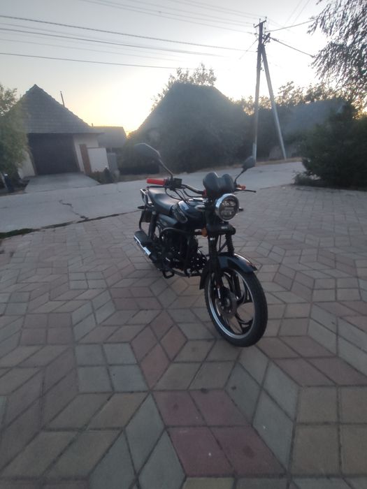 MUSTANG FIT 125-8. Alpha